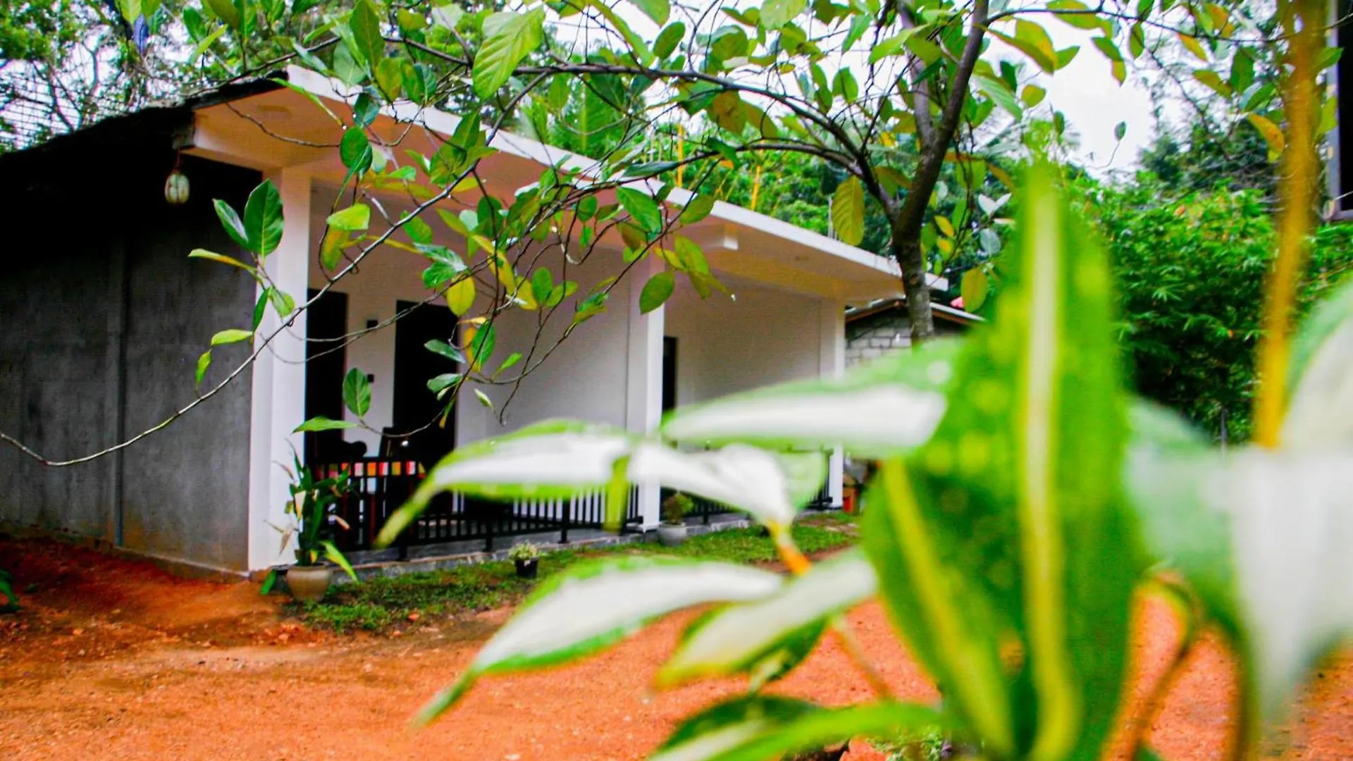Sigiri Heaven Villa Sigiriya Hotel
