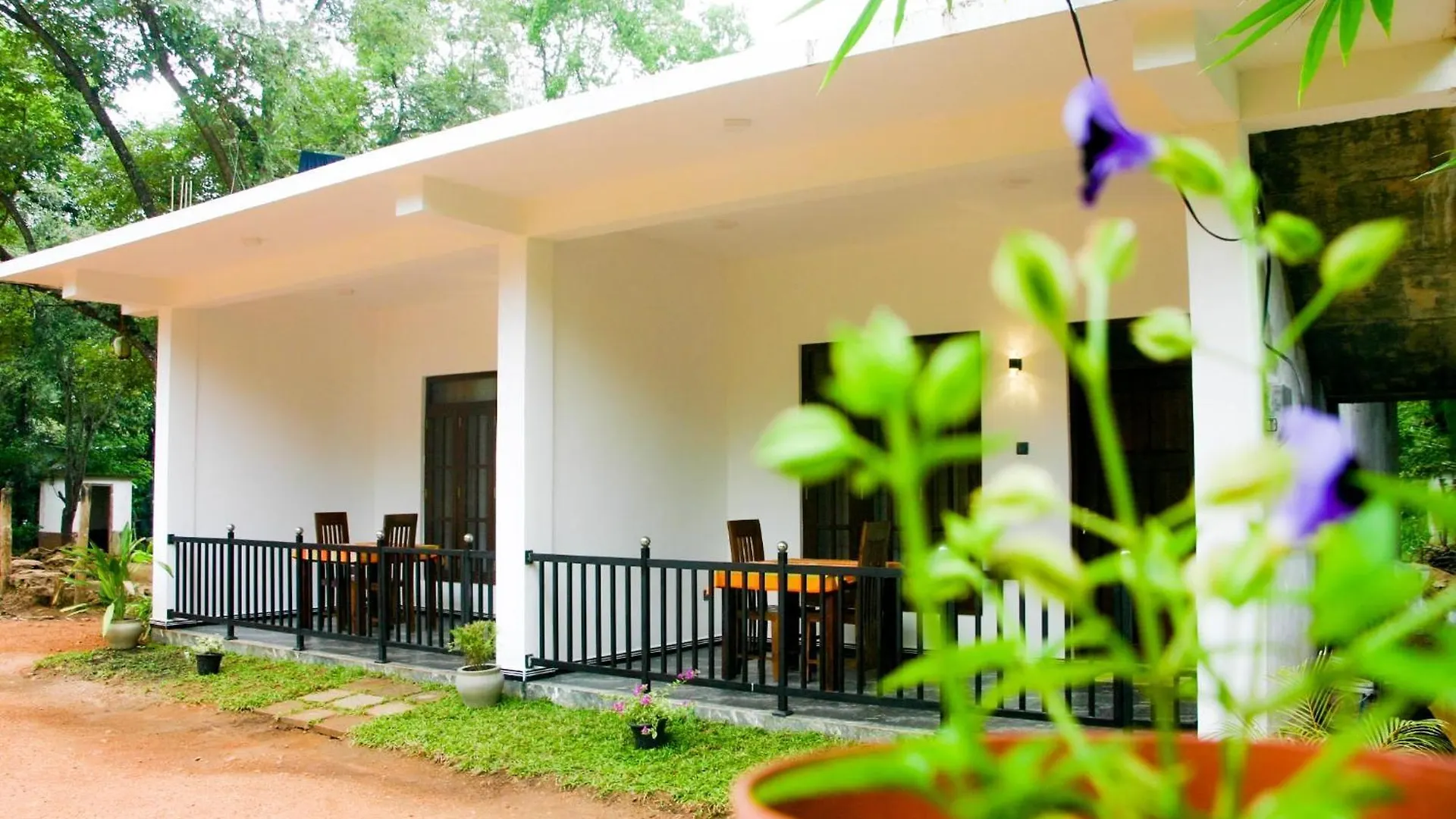 Sigiri Heaven Villa Sigiriya 2*,  Sri Lanka