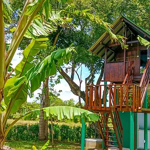 Pride Rock & Tree House Hotel