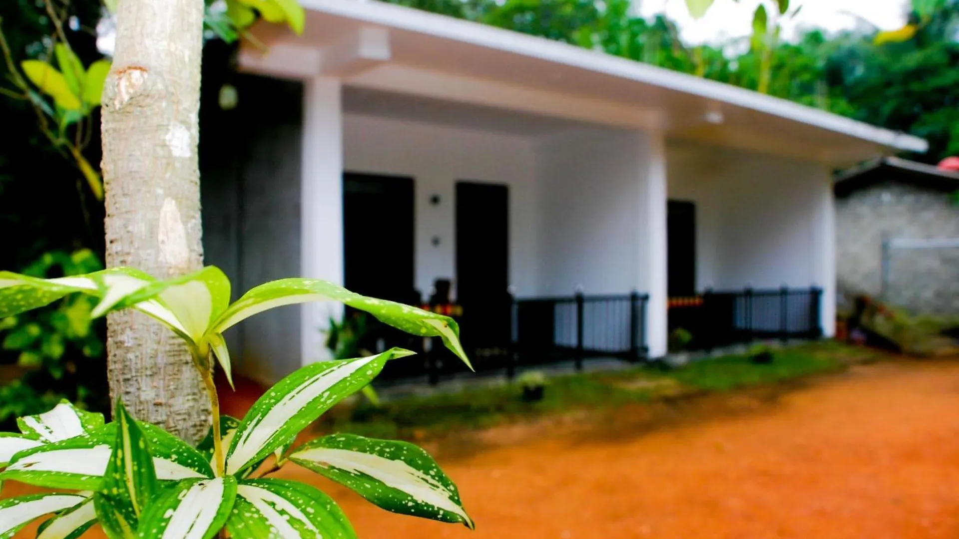 Sigiri Heaven Villa Sigiriya