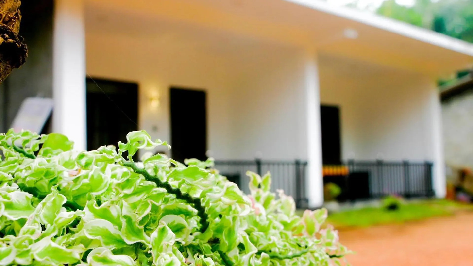 Sigiri Heaven Villa Sigiriya Hotel
