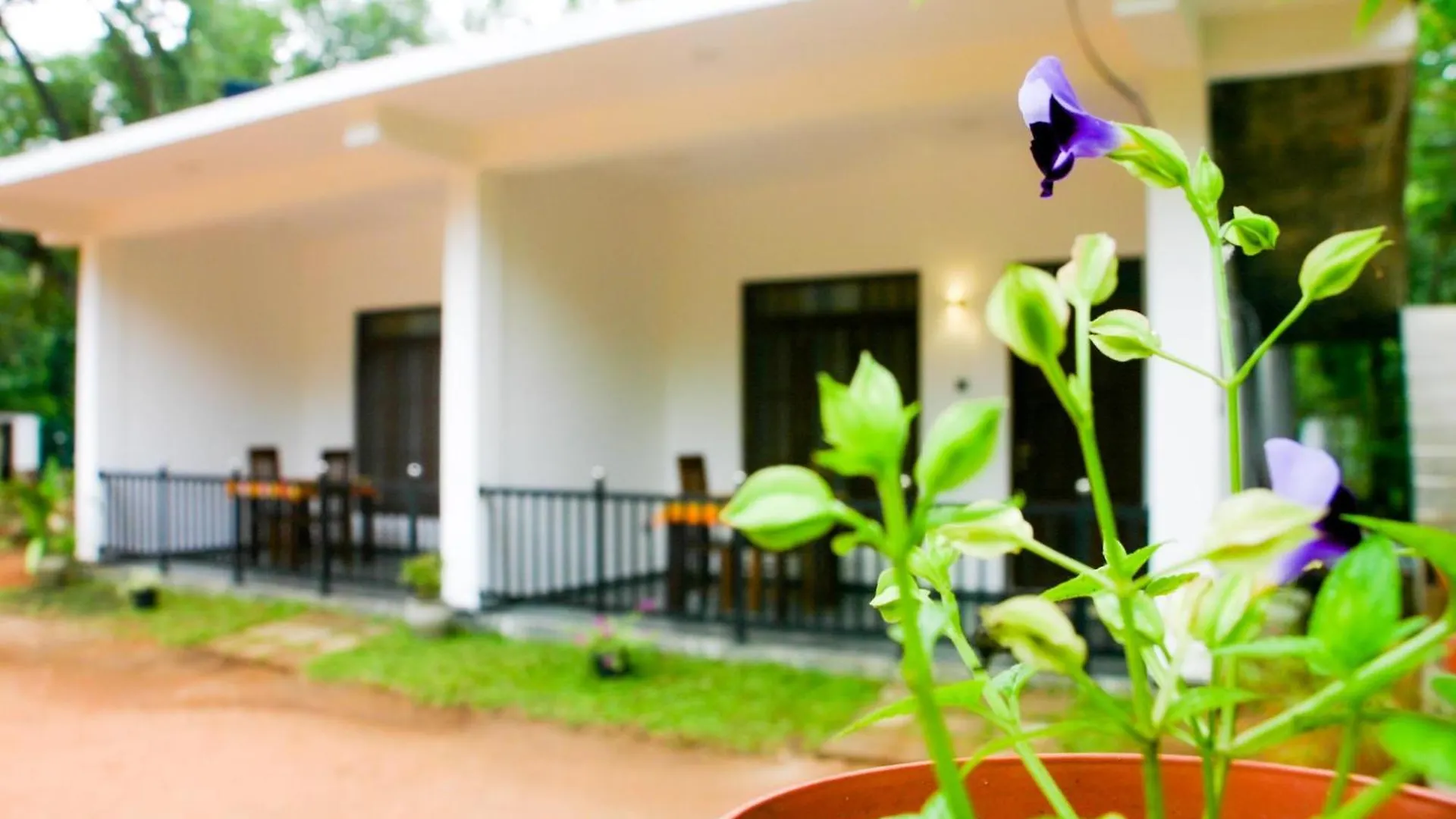 Hotel Sigiri Heaven Villa Sigiriya